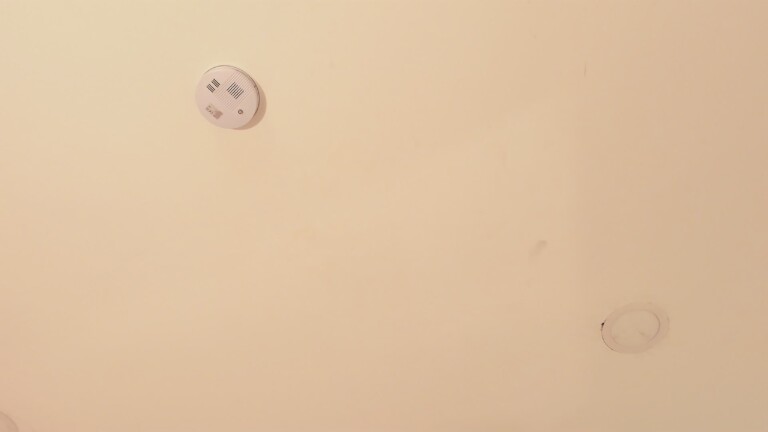 AliceRogerss's Streamate show and profile