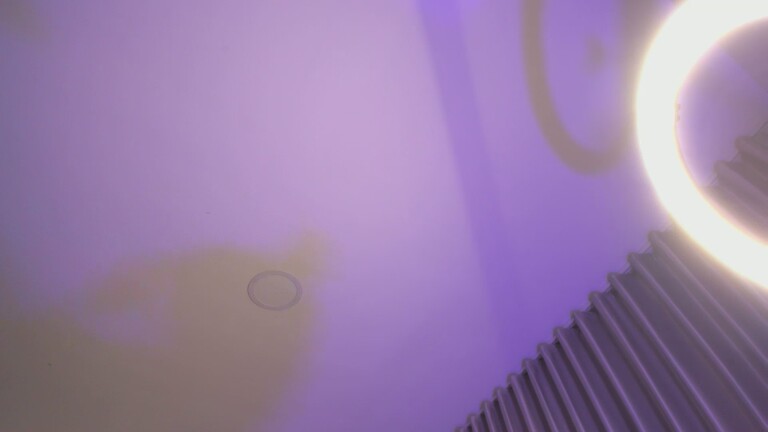 Amber_Grant's Streamate show and profile