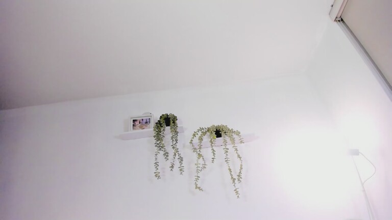 AryStonne's Streamate show and profile